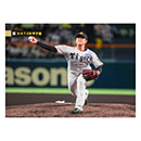 64 岡留英貴 - 阪神タイガース公式オンラインショップ T-SHOP