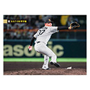 37 及川雅貴 - 阪神タイガース公式オンラインショップ T-SHOP