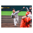 29 髙橋遥人 - 阪神タイガース公式オンラインショップ T-SHOP