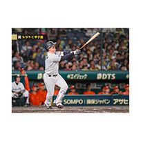 ブロマイド 9/9 T-C No.5　1森下