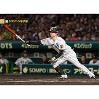ブロマイド 9/13 T-D No.2 7中野