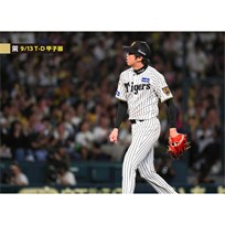 ブロマイド 9/13 T-D No.3 35才木
