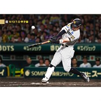 ブロマイド 9/13 T-D No.4 8佐藤（輝明）