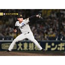 49 工藤泰成 - 阪神タイガース公式オンラインショップ T-SHOP