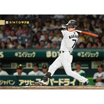 ブロマイド 9/14 T-D No.1 7中野