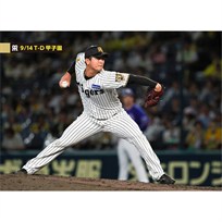 ブロマイド 9/14 T-D No.3 64岡留