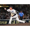 ブロマイド 9/14 T-D No.4 95神宮