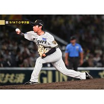 ブロマイド 9/14 T-D No.4 95神宮