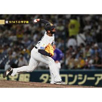 ブロマイド 9/14 T-D No.5 97セベリーノ