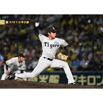 ブロマイド 9/15 T-D No.1 95神宮