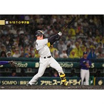 ブロマイド 9/15 T-D No.2 1森下