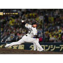 ブロマイド 9/15 T-D No.3 13岩崎
