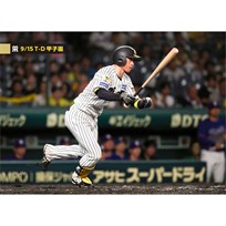 ブロマイド 9/15 T-D No.5 5近本