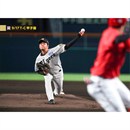 29 髙橋遥人 - 阪神タイガース公式オンラインショップ T-SHOP