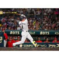ブロマイド 9/17 T-C No.2　1森下
