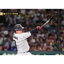 ブロマイド 9/17 T-C No.3　3大山