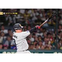 ブロマイド 9/17 T-C No.3　3大山