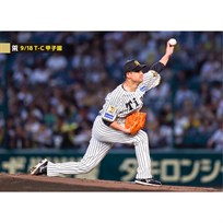 ブロマイド 9/18 T-C No.1　21大竹