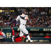 ブロマイド 9/18 T-C No.2　8佐藤（輝明）