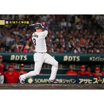 ブロマイド 9/18 T-C No.3　3大山
