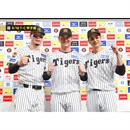 37 及川雅貴 - 阪神タイガース公式オンラインショップ T-SHOP
