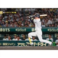 ブロマイド 9/19 T-C No.1　5近本