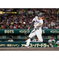 ブロマイド 9/19 T-C No.2　8佐藤（輝明）