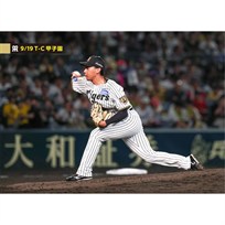 ブロマイド 9/19 T-C No.4　95神宮