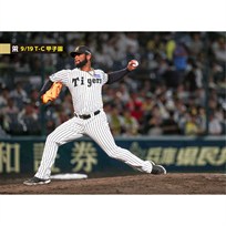 ブロマイド 9/19 T-C No.5　97セベリーノ