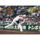 37 及川雅貴 - 阪神タイガース公式オンラインショップ T-SHOP