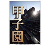 阪神甲子園球場　カレンダー2027（壁掛けタイプ）