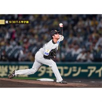 ブロマイド 9/30 T-S No.1　29高橋