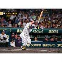 ブロマイド 9/30 T-S No.2　5近本