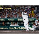 ブロマイド 9/30 T-S No.3　3大山