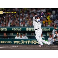 ブロマイド 9/30 T-S No.3　3大山