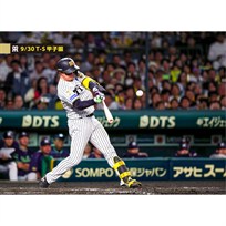 ブロマイド 9/30 T-S No.4　1森下
