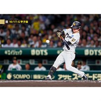ブロマイド 10/1 T-G No.1　7中野