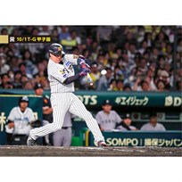 ブロマイド 10/1 T-G No.2　3大山