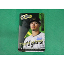 【T-SHOP限定】2025 JERA CS セ 優勝記念 選手PETカード★受注生産品★