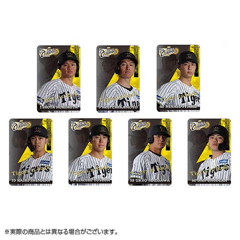 甲子園　阪神タイガース　グッズセット　優勝記念グッズ　値下げしました 阪神タイガース JERA セ・リーグ優勝× 阪神甲子園球場コラボグッズ