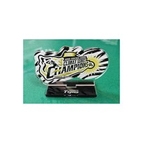 【T-SHOP限定】2025 JERA CS セ 優勝記念 ロゴ アクリルスタンド★受注生産品★