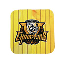 【A_在庫】2025 JERA セ・リーグ優勝記念 ミニタオル