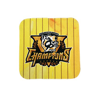 【A_在庫】2025 JERA セ・リーグ優勝記念 ミニタオル