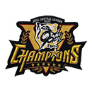 【A_在庫】2025 JERA セ・リーグ優勝記念 刺繍ワッペン