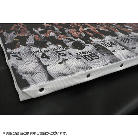 B_受注】【T-SHOP限定】2025 JERA セ・リーグ優勝記念 キャンバス