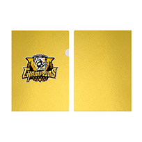 【B_受注】【T-SHOP限定】2025 JERA セ・リーグ優勝記念 金箔風クリアファイル★受注生産品★