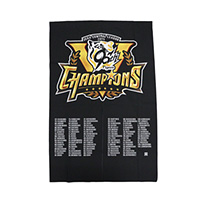 【B_受注】【T-SHOP限定】2025 JERA セ・リーグ優勝記念 のれん★受注生産品★