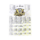 【B_受注】【T-SHOP限定】2025 JERA セ・リーグ優勝記念 ファブリックパネル S★受注生産品★