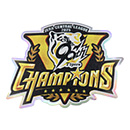 【B_受注】【T-SHOP限定】2025 JERA セ・リーグ優勝記念 選手キラキラステッカー★受注生産品★