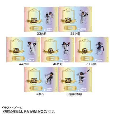 B_受注】【T-SHOP限定】2025 JERA セ・リーグ優勝記念 オーロラ